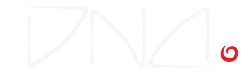 DNA - agencja hostess, outsourcing pracowników, outsourcing IT